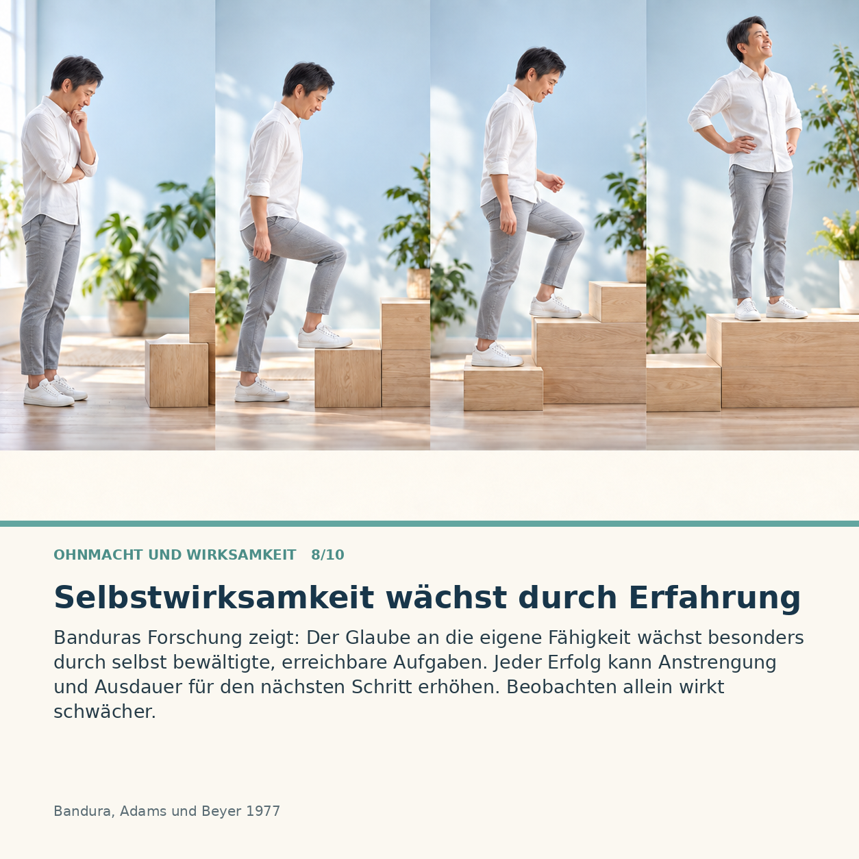 Schaubild 8 der Reihe „Ohnmacht und Wirksamkeit“