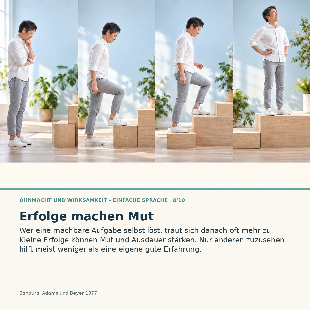 Schaubild 8 der Reihe „Ohnmacht und Wirksamkeit – Einfache Sprache“