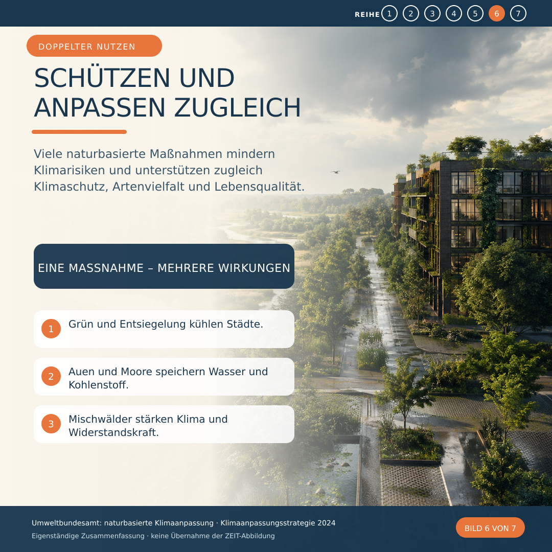 Schaubild 6 der Reihe „Klimaschutz Anpassung“